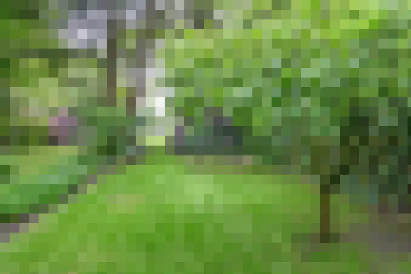 Diepenheimseweg 9 Goor thumbnail 37