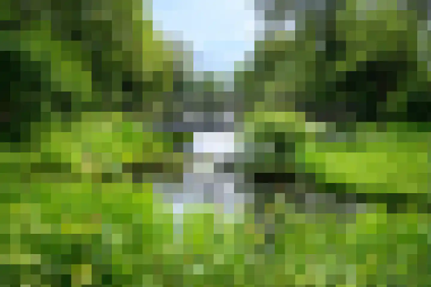 Diepenheimseweg 9 Goor thumbnail 39