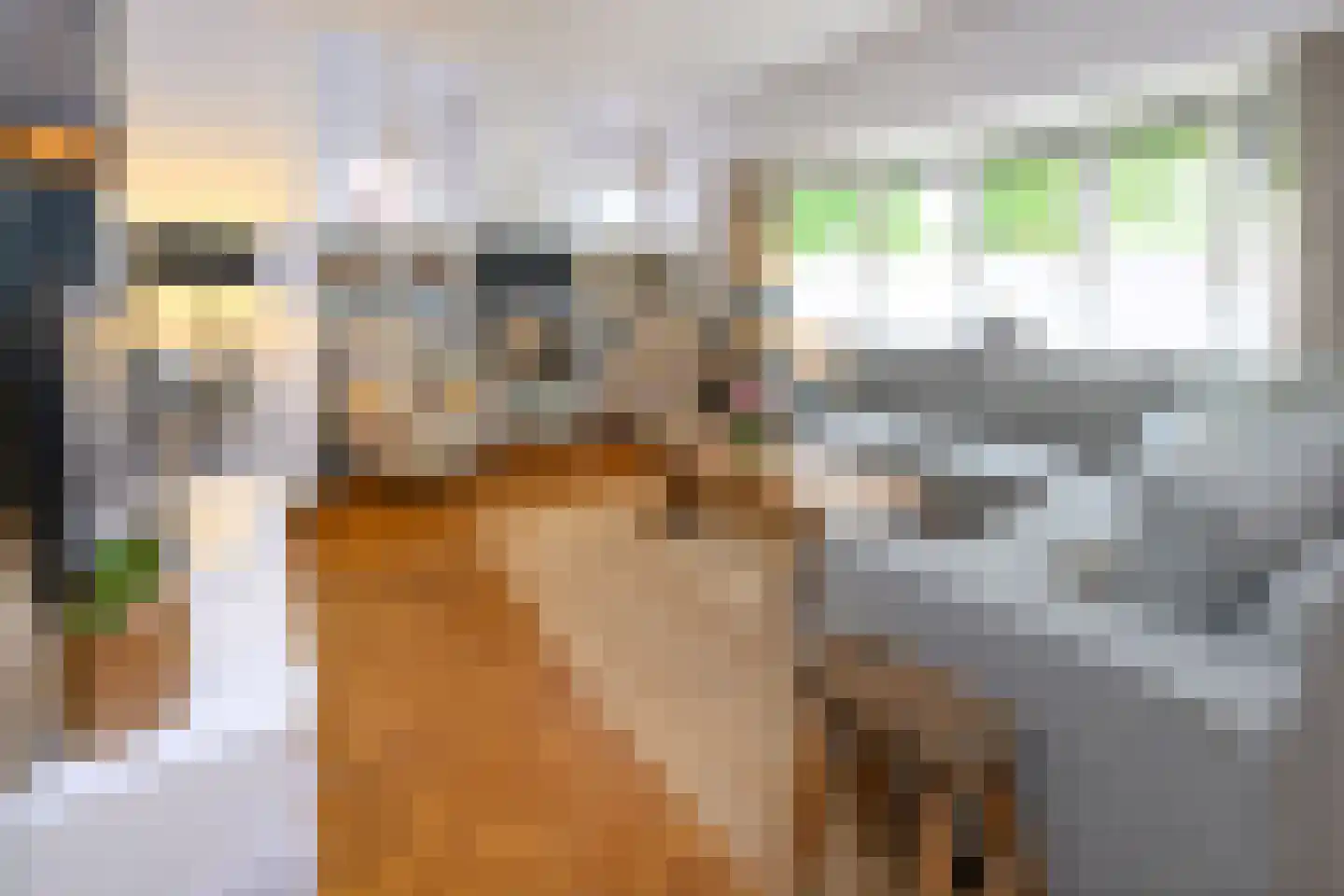 Diepenheimseweg 9 Goor thumbnail 4