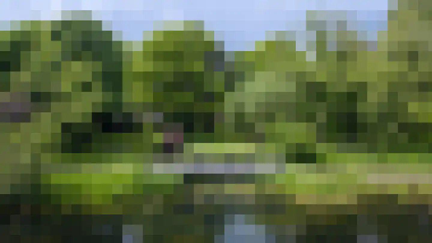 Diepenheimseweg 9 Goor thumbnail 41
