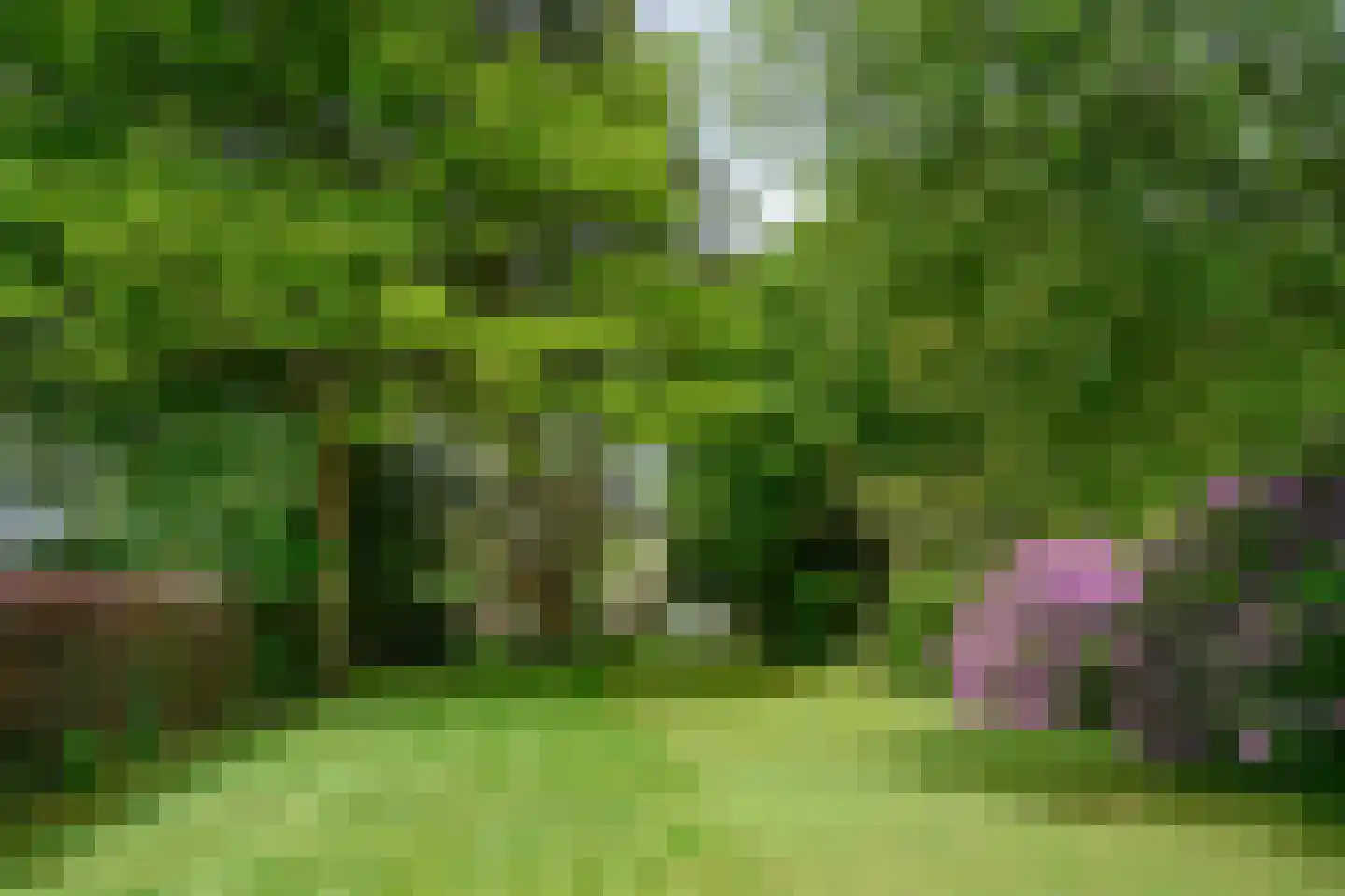 Diepenheimseweg 9 Goor thumbnail 42