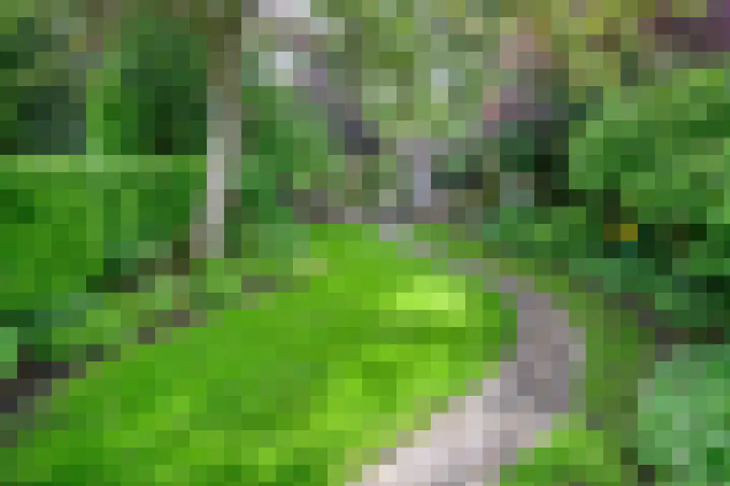 Diepenheimseweg 9 Goor thumbnail 44