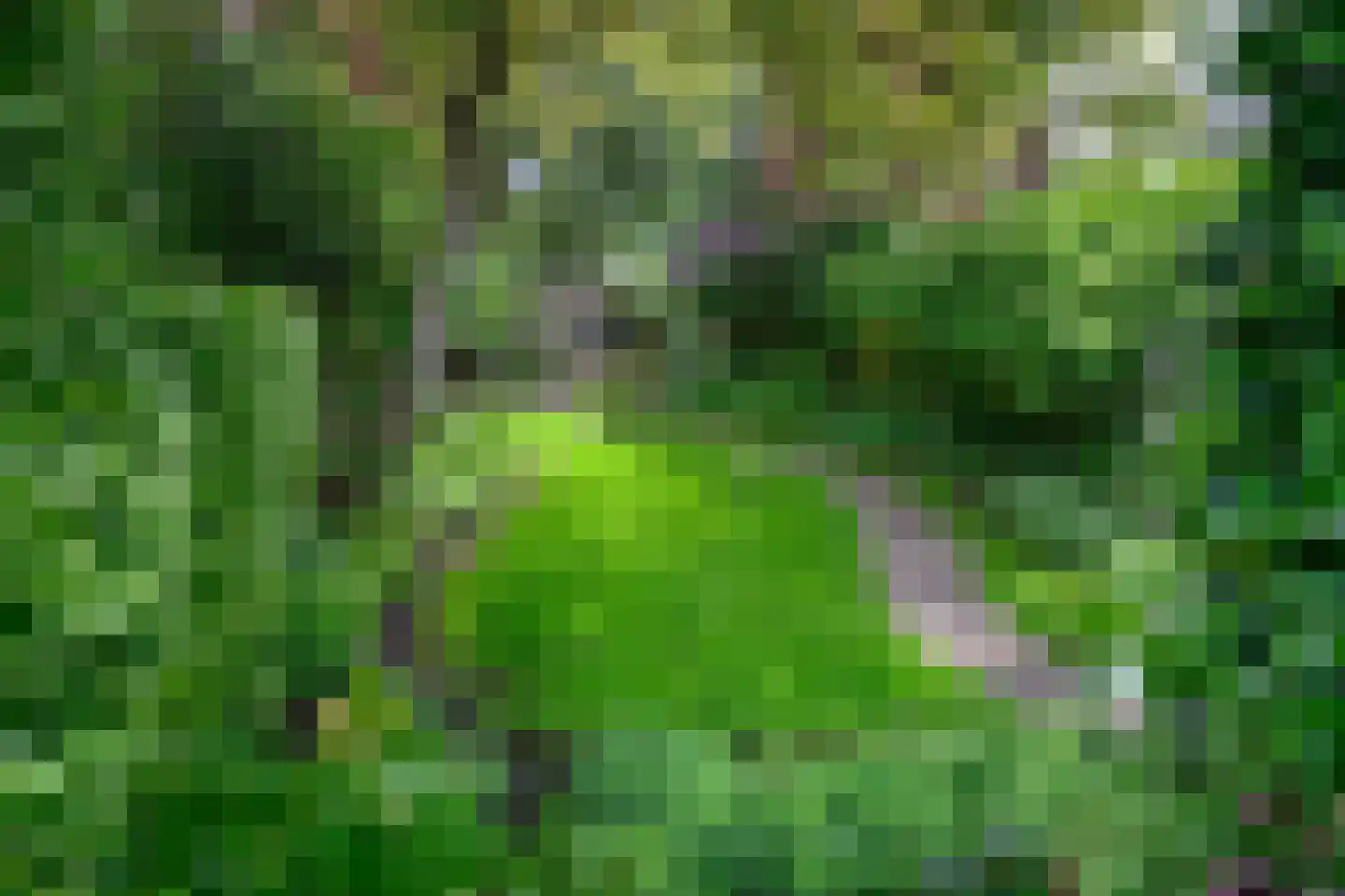 Diepenheimseweg 9 Goor thumbnail 45