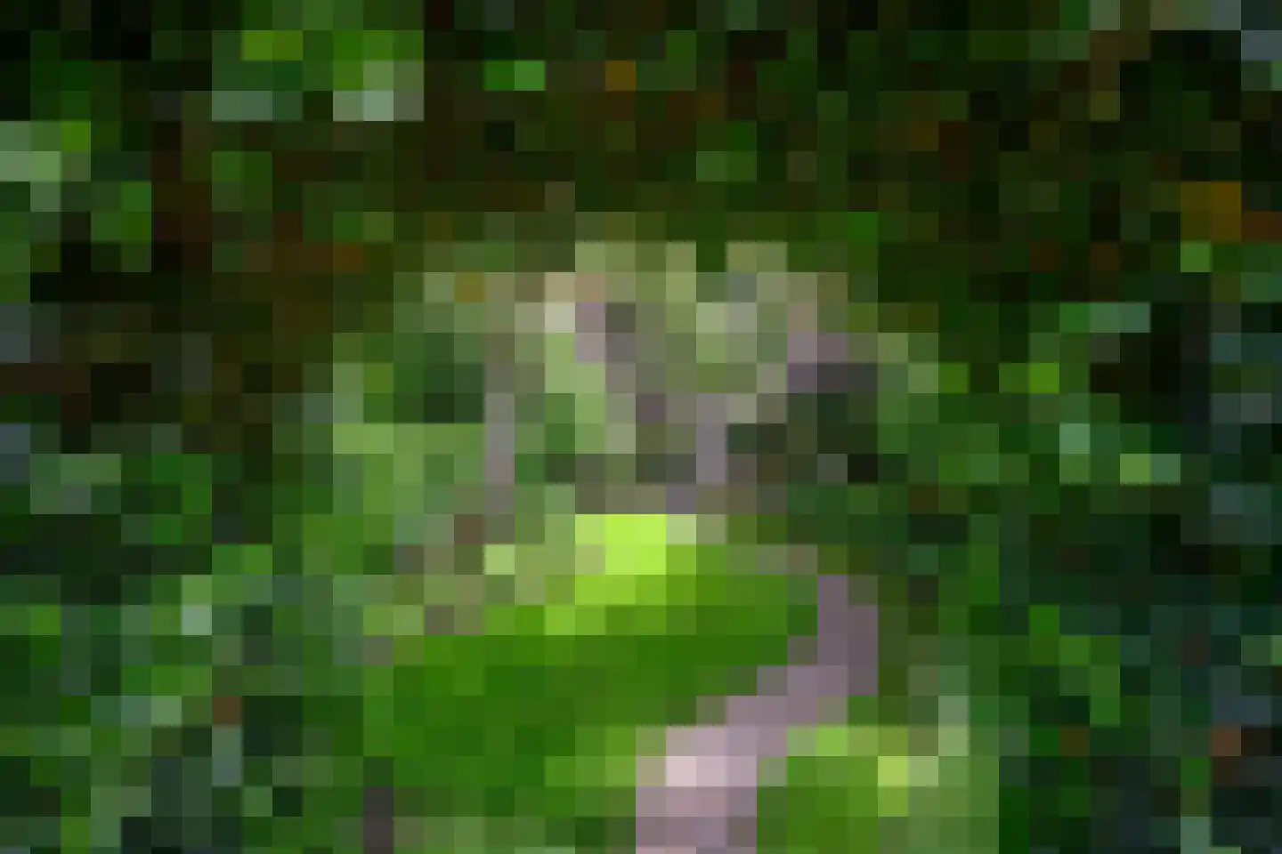 Diepenheimseweg 9 Goor thumbnail 47