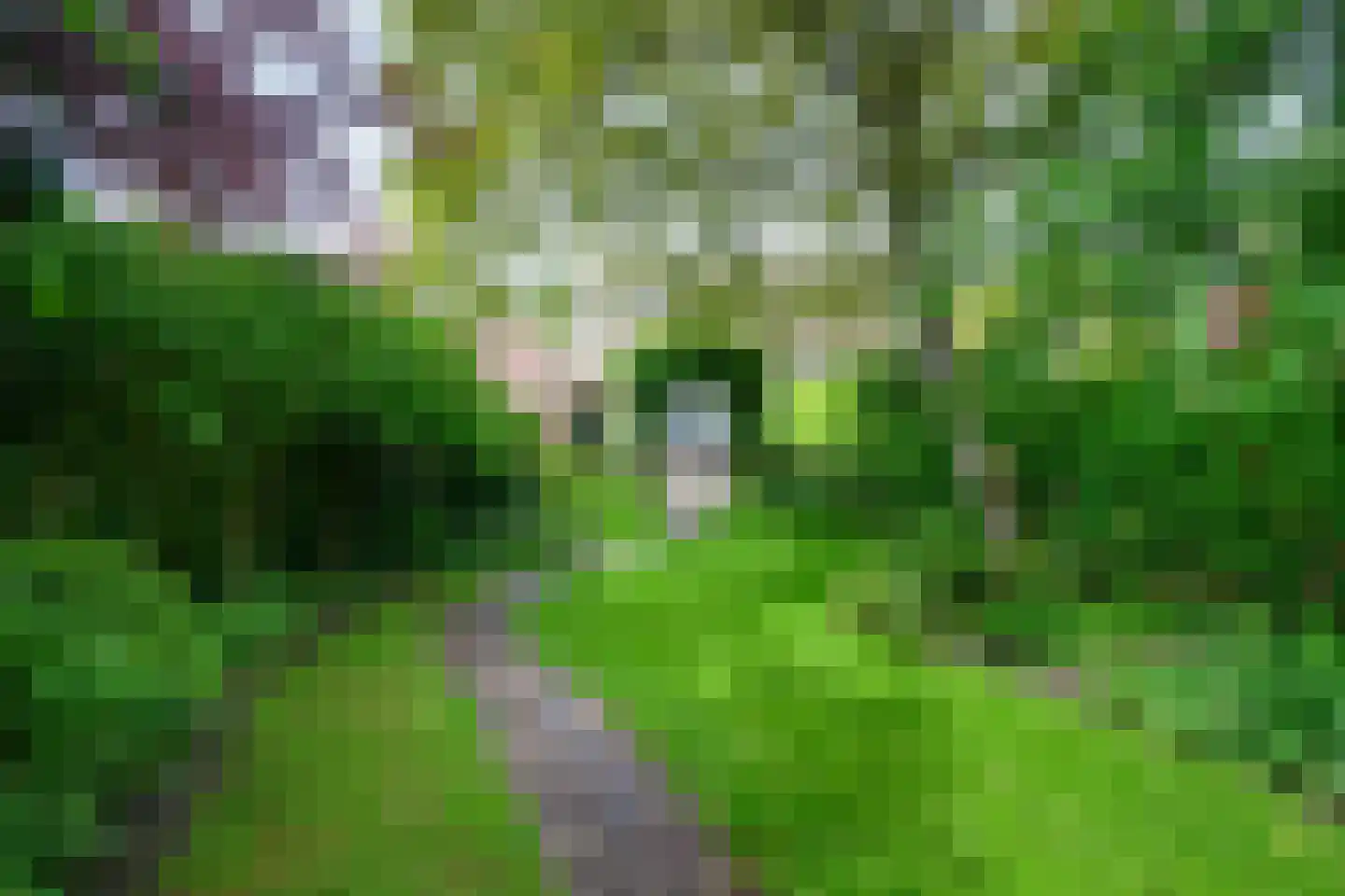 Diepenheimseweg 9 Goor thumbnail 53