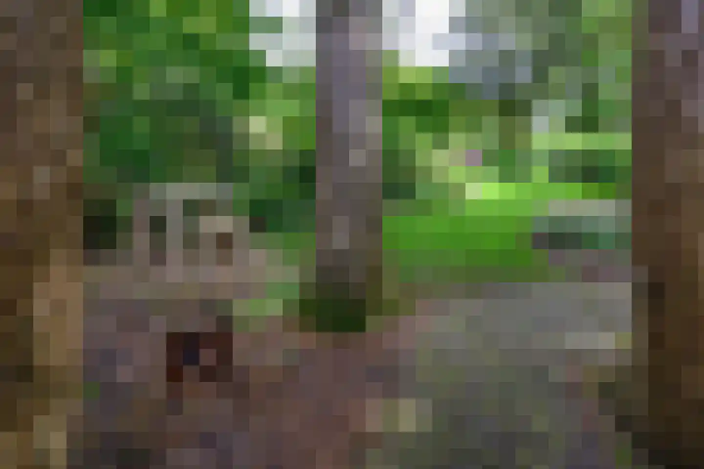 Diepenheimseweg 9 Goor thumbnail 54