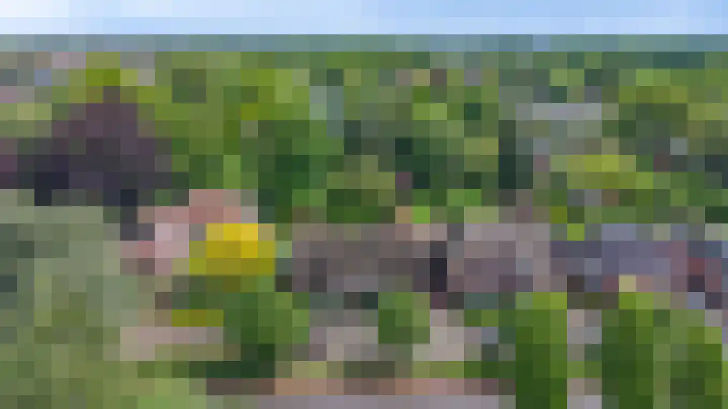Diepenheimseweg 9 Goor thumbnail 60