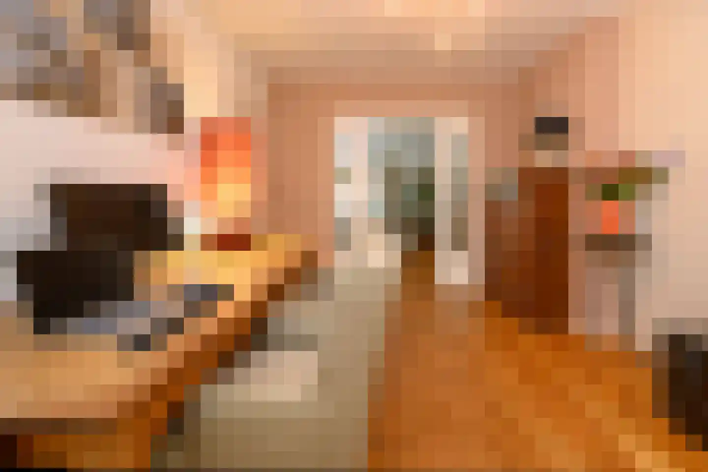 Diepenheimseweg 9 Goor thumbnail 8