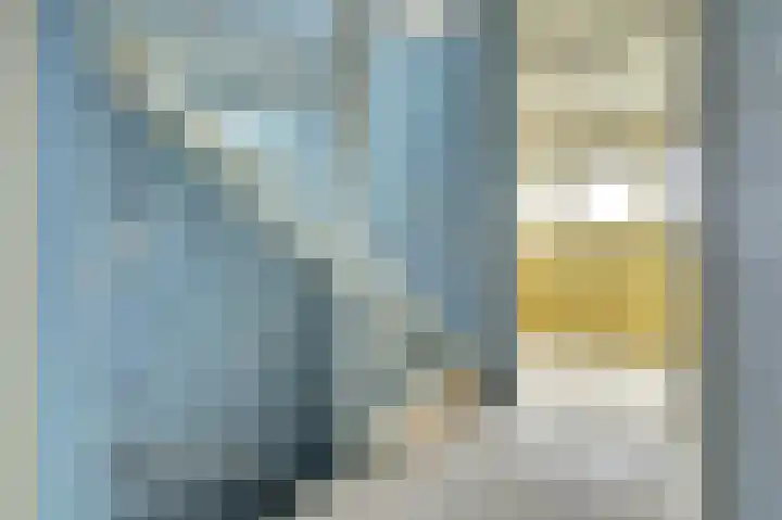 Diepenhorstweg 8 Strijen thumbnail 19