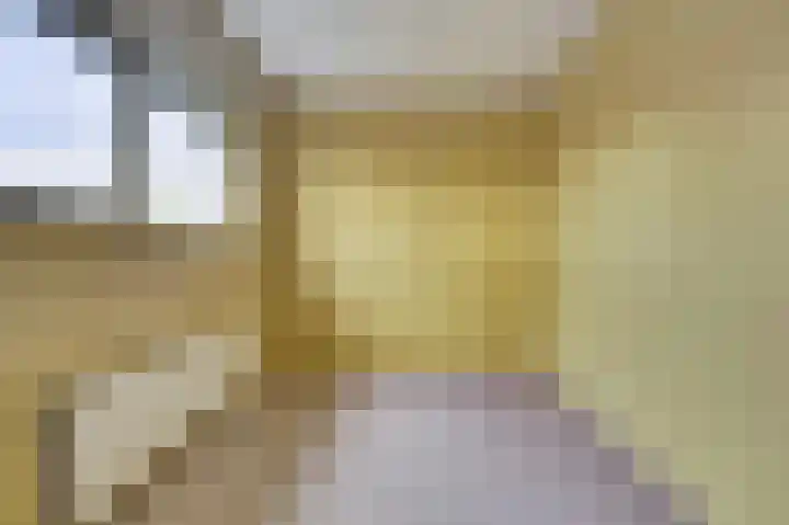 Diepenhorstweg 8 Strijen thumbnail 20