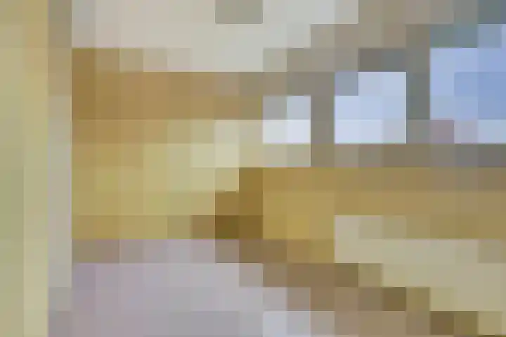 Diepenhorstweg 8 Strijen thumbnail 21