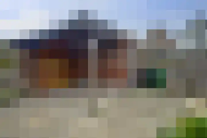 Diepenhorstweg 8 Strijen thumbnail 35