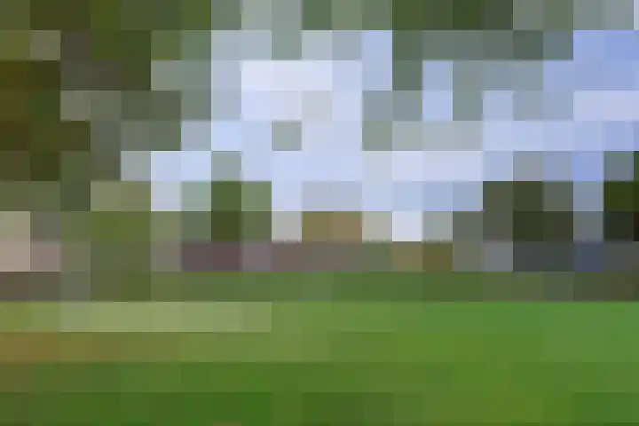 Diepenhorstweg 8 Strijen thumbnail 38