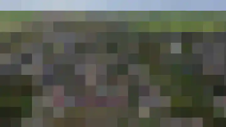 Diepenhorstweg 8 Strijen thumbnail 39