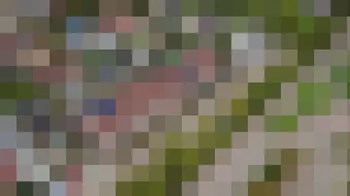 Diepenhorstweg 8 Strijen thumbnail 43