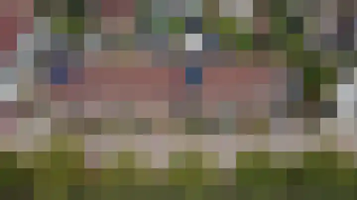 Diepenhorstweg 8 Strijen thumbnail 44