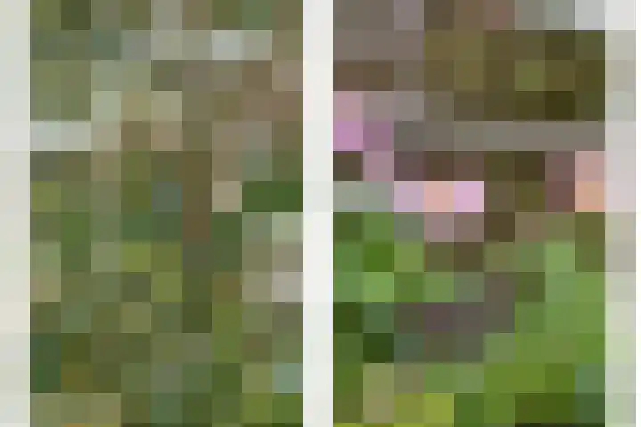 Diepenhorstweg 8 Strijen thumbnail 5