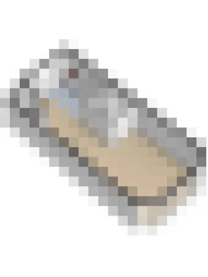 Diepenhorstweg 8 Strijen thumbnail 51