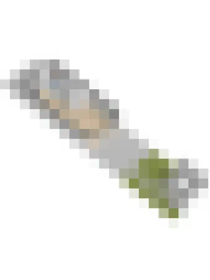 Diepenhorstweg 8 Strijen thumbnail 53