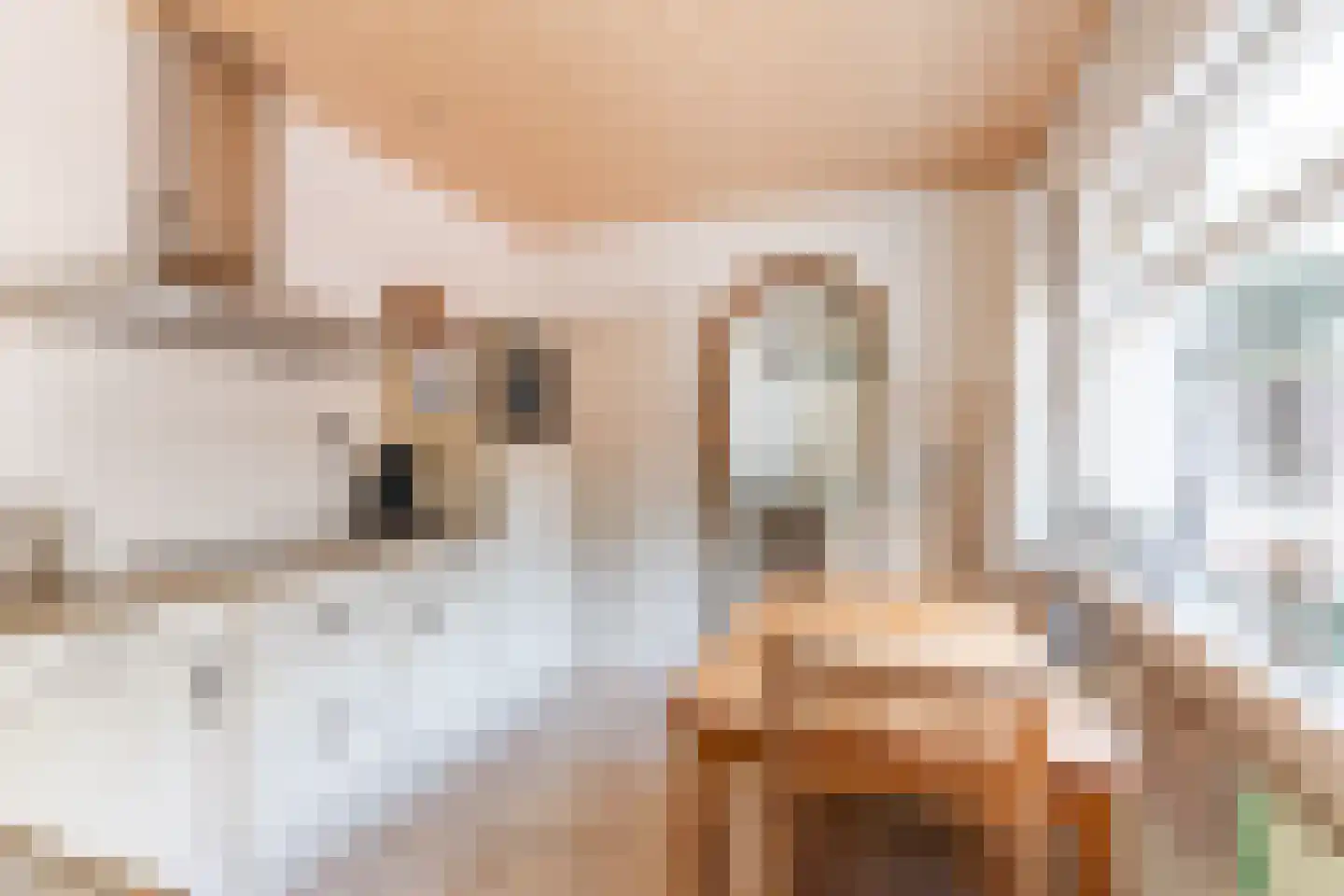 Diepenstraat 14 Tilburg thumbnail 10