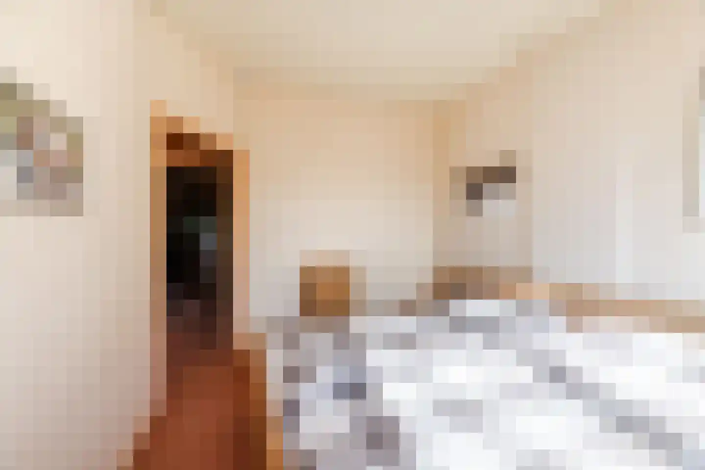 Diepenstraat 14 Tilburg thumbnail 16
