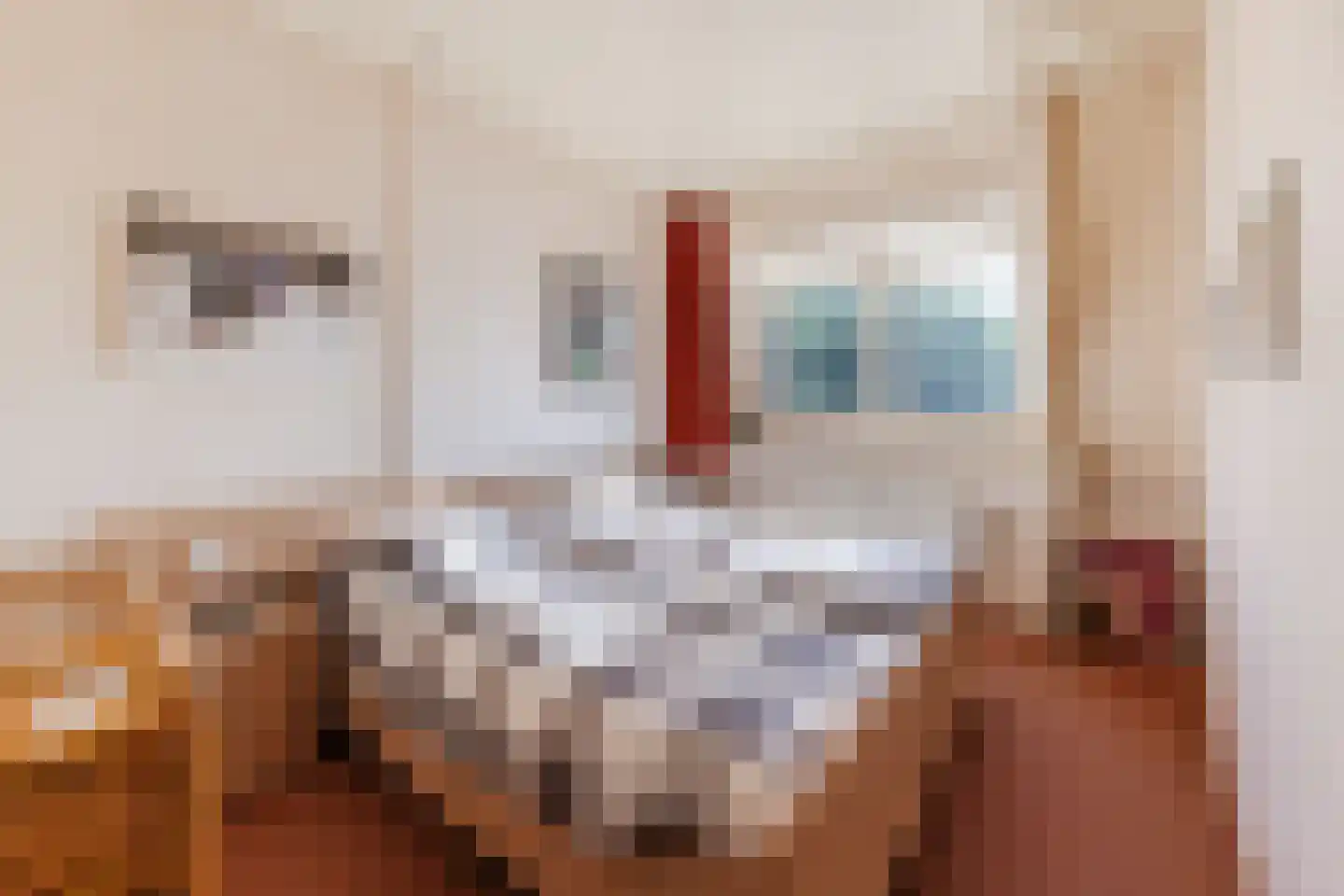 Diepenstraat 14 Tilburg thumbnail 17