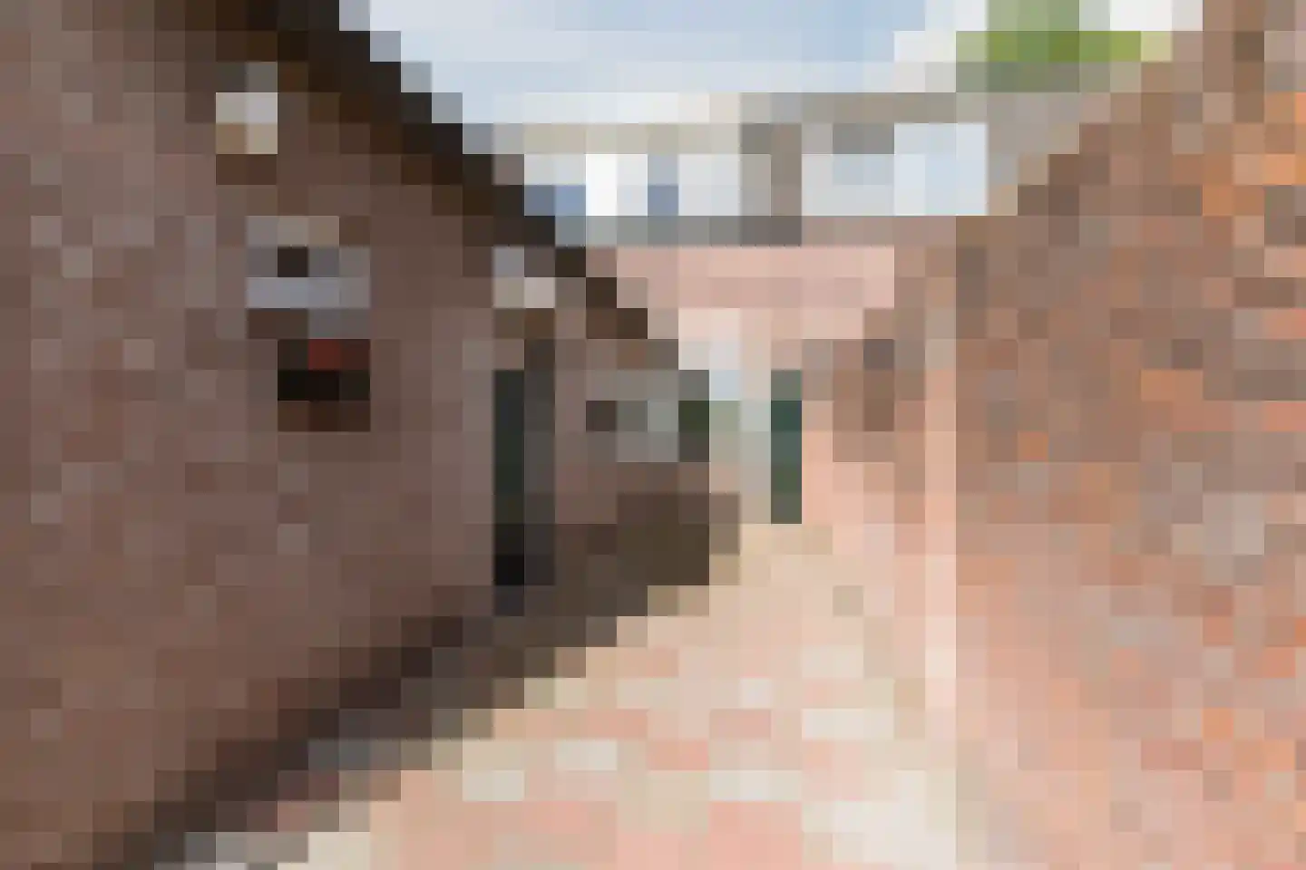 Diepenstraat 14 Tilburg thumbnail 27