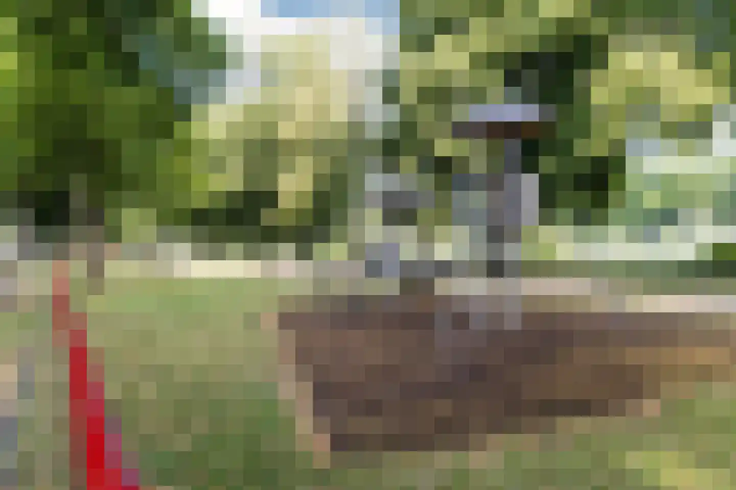 Diepenstraat 14 Tilburg thumbnail 33