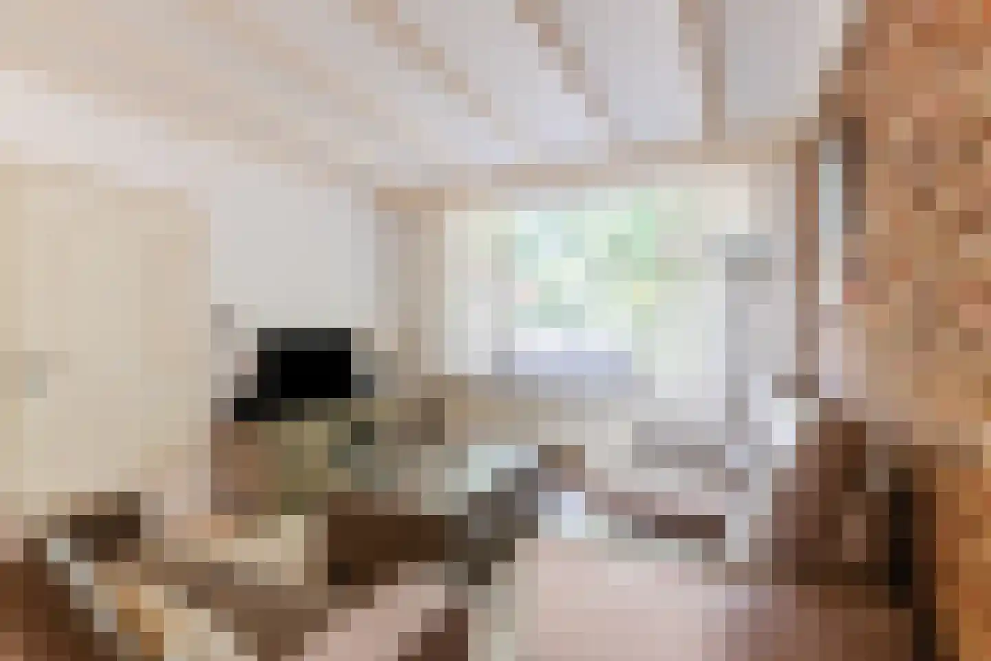 Diepenstraat 14 Tilburg thumbnail 4