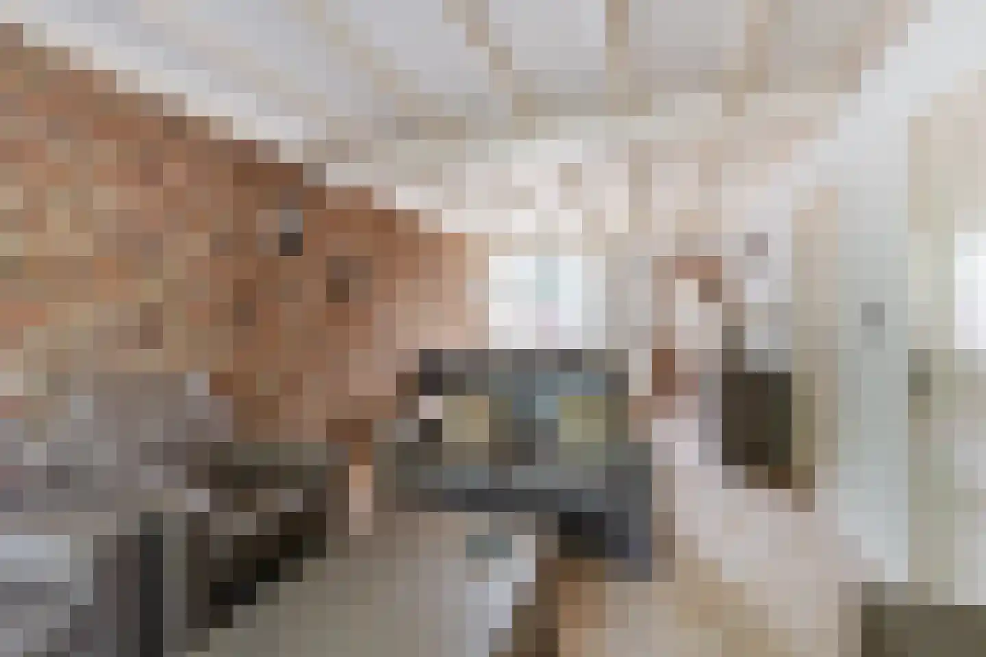 Diepenstraat 14 Tilburg thumbnail 5