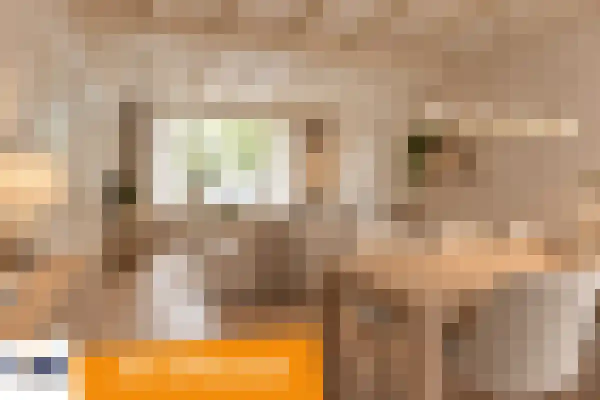 Diepenstraat 14 Tilburg thumbnail 6