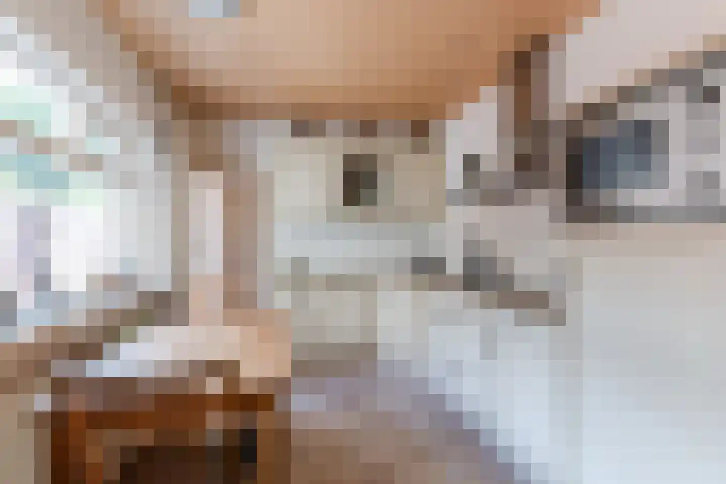 Diepenstraat 14 Tilburg thumbnail 8