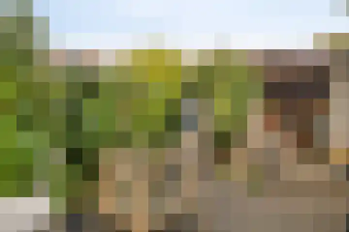 Diepenstraat 34 Tilburg thumbnail 23