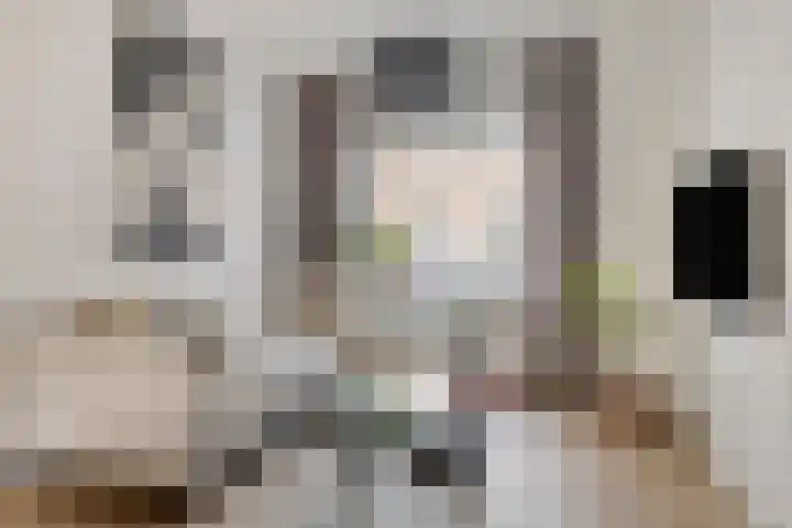 Diepenstraat 34 Tilburg thumbnail 5