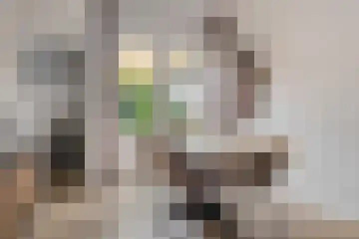 Diepenstraat 34 Tilburg thumbnail 6