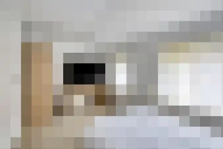 Diepenstraat 36 Tilburg thumbnail 22