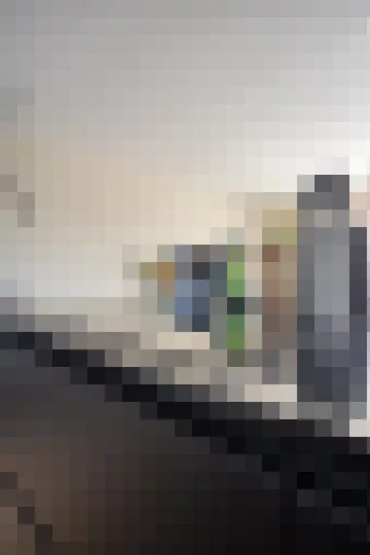 Diepenstraat 76 c Tilburg thumbnail 22