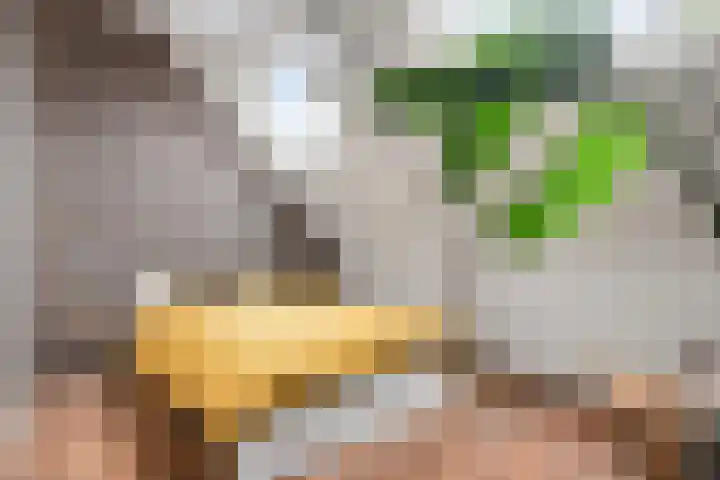 Diepenstraat 85 Tilburg thumbnail 21