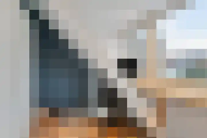 Diepenstraat 85 Tilburg thumbnail 26