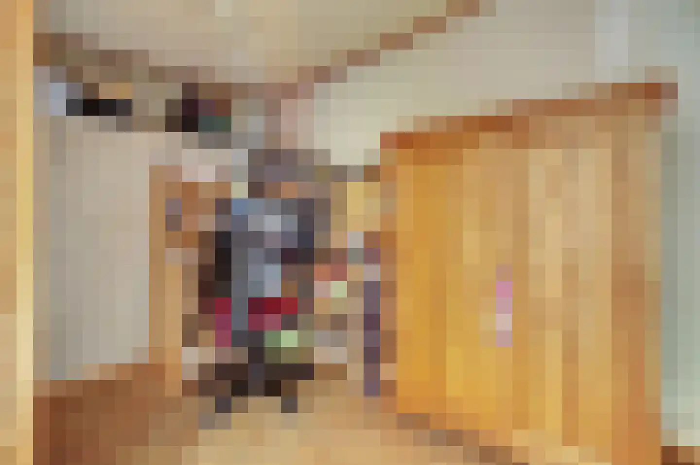 Diepenstraat 91 Tilburg thumbnail 14