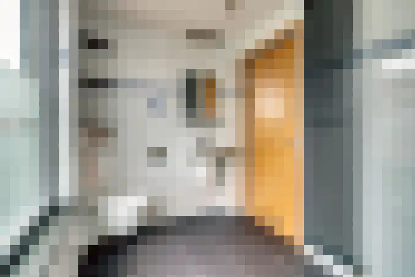 Diepenstraat 91 Tilburg thumbnail 29