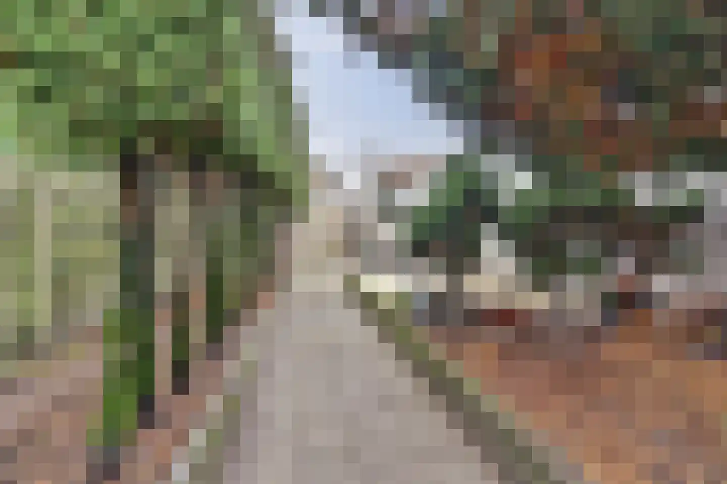 Diepenstraat 91 Tilburg thumbnail 38