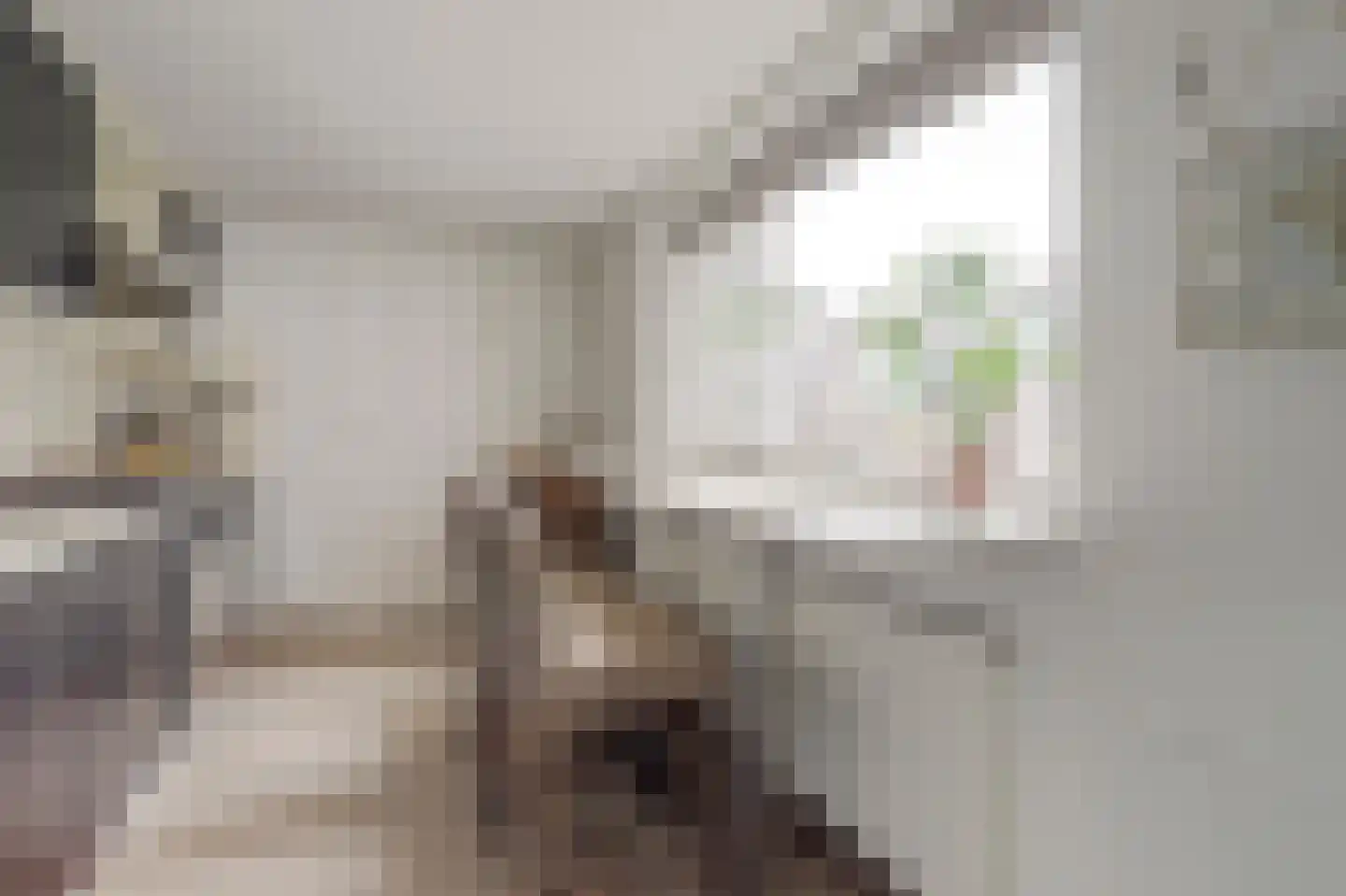 Diepenstraat 92 Tilburg thumbnail 10