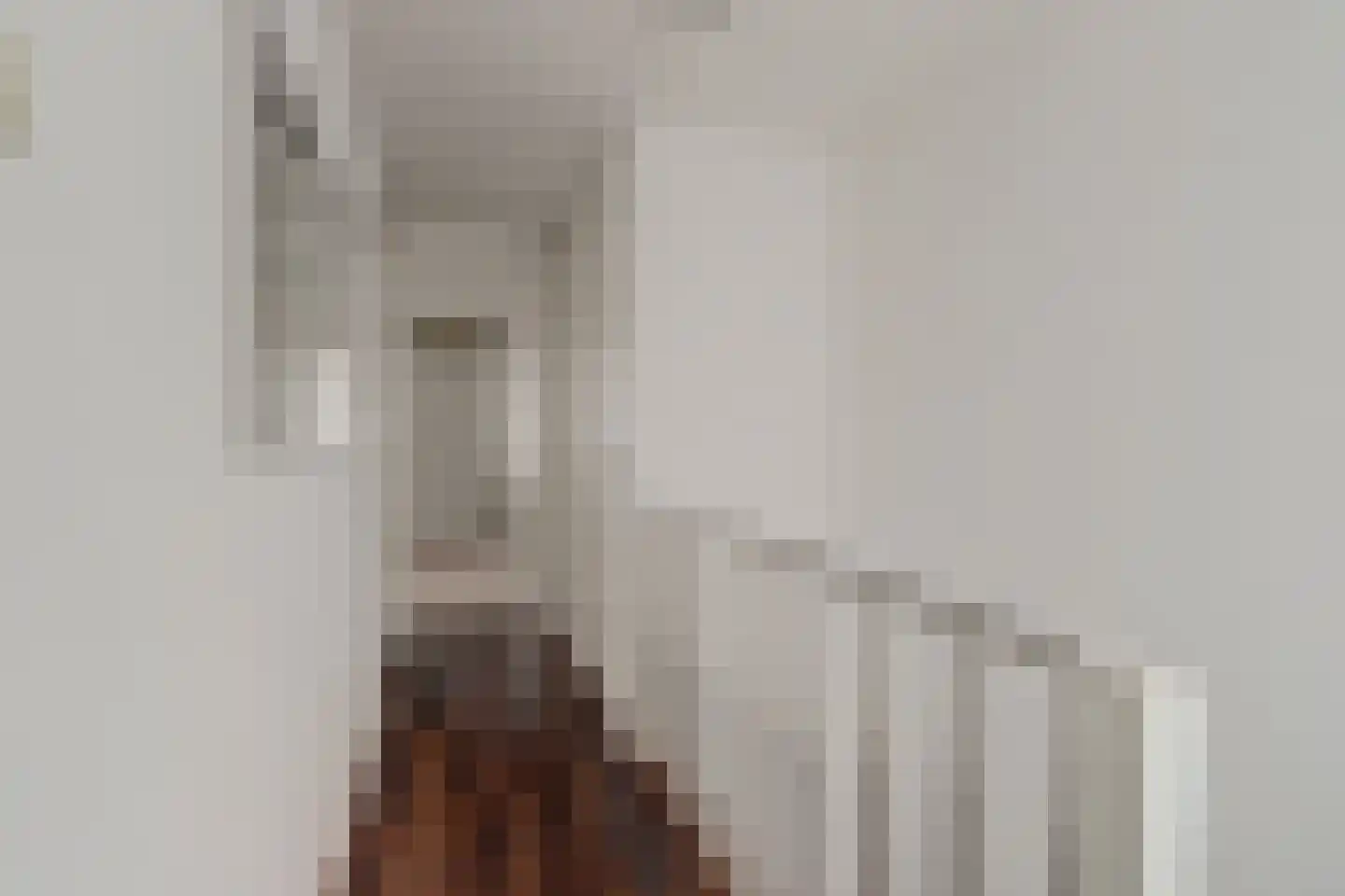 Diepenstraat 92 Tilburg thumbnail 15