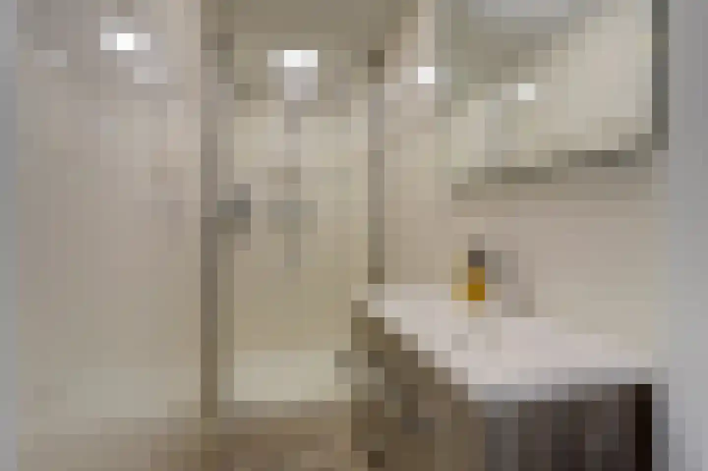 Diepenstraat 92 Tilburg thumbnail 18