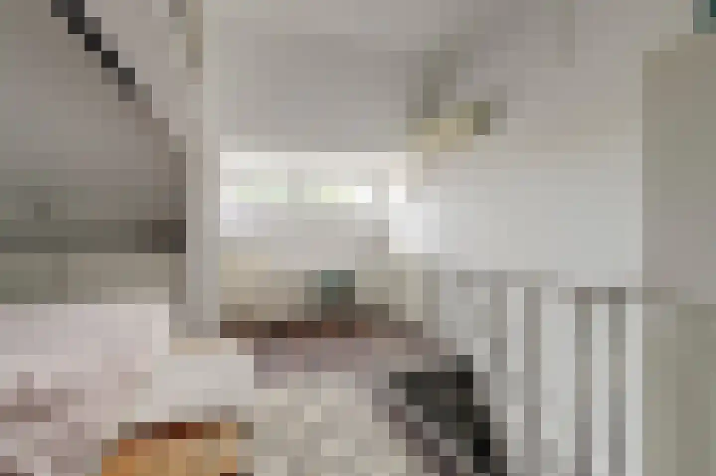 Diepenstraat 92 Tilburg thumbnail 22