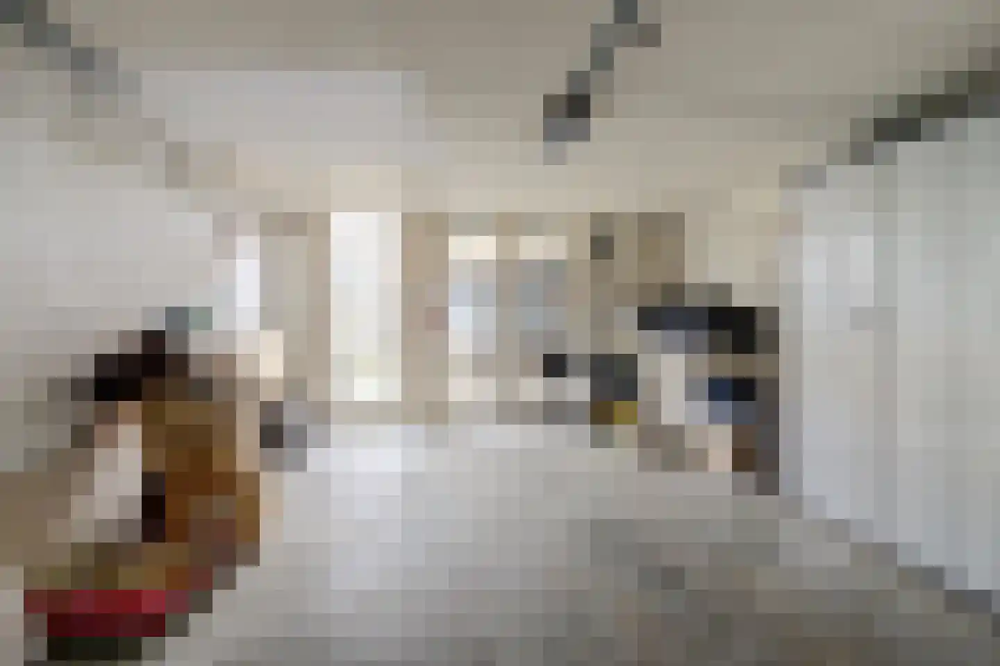 Diepenstraat 92 Tilburg thumbnail 27