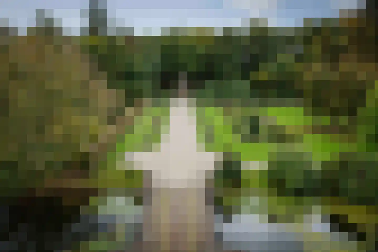 Diepenveenseweg 1 b Olst thumbnail 13