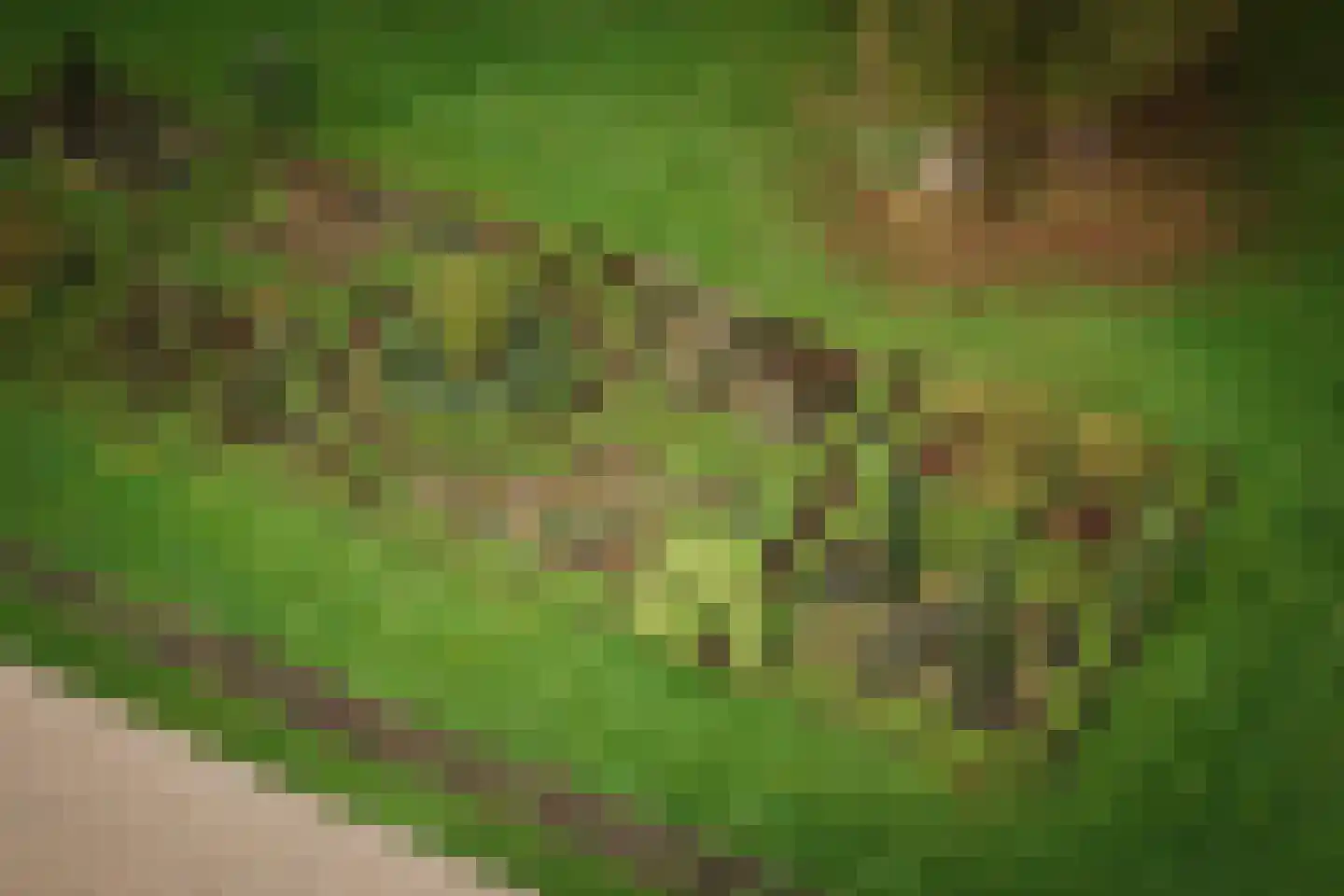 Diepenveenseweg 1 b Olst thumbnail 14