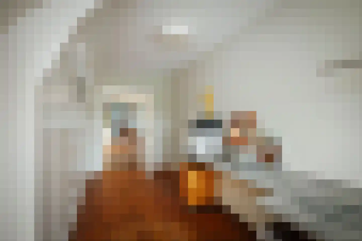 Diepenveenseweg 1 b Olst thumbnail 29